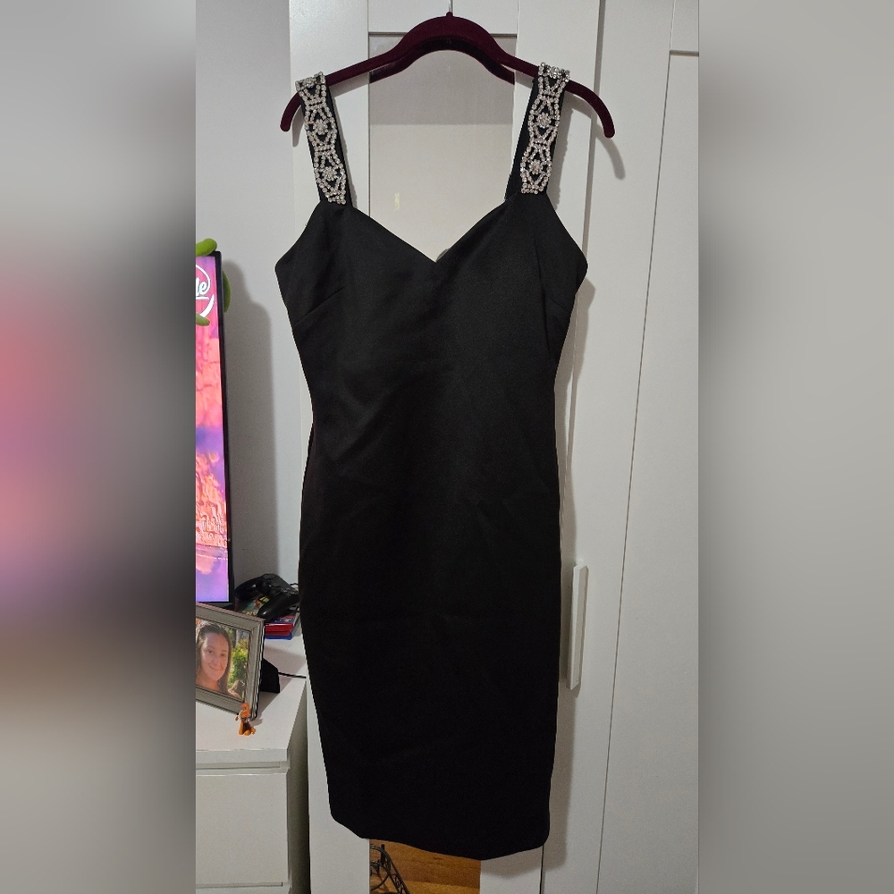 Ted Baker Dress